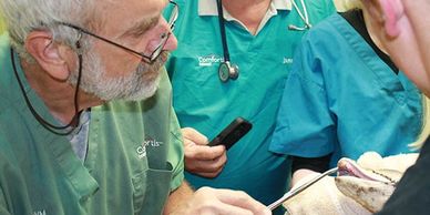 Veterinary imaging and radiology suite